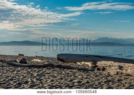 Cascades From Alki