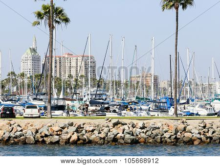 Forest Of Masts