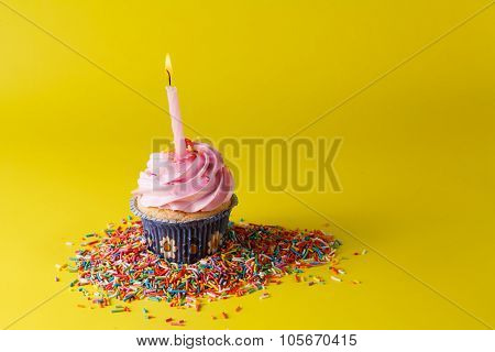 Birthday Present Decoration Concept.