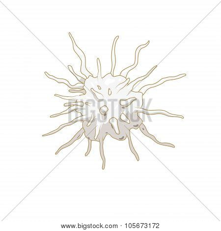 Platelet thrombocyte blood cell vector