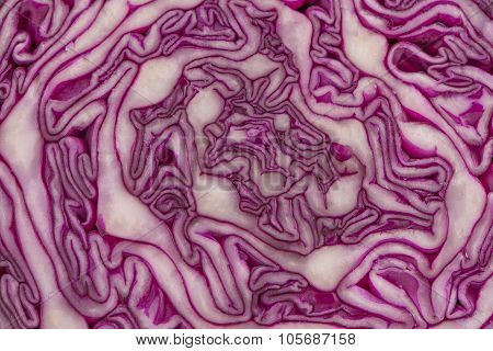 Close Up View Of A Purple Cabbage