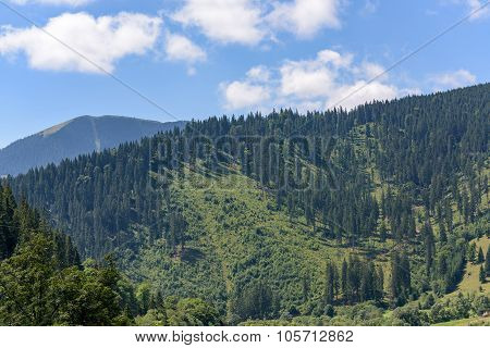 Beautiful mountain landscape in Romania at Vatra Dornei
