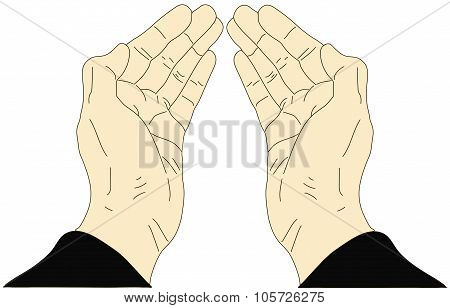 Hands On A White Background