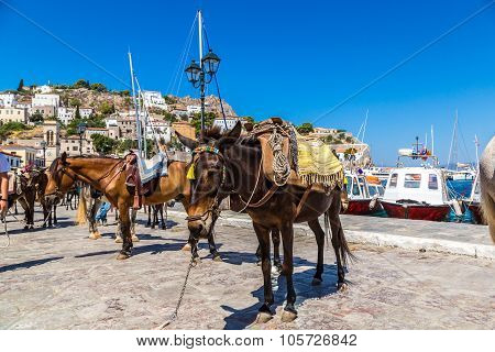 Hydra Island  In Greece