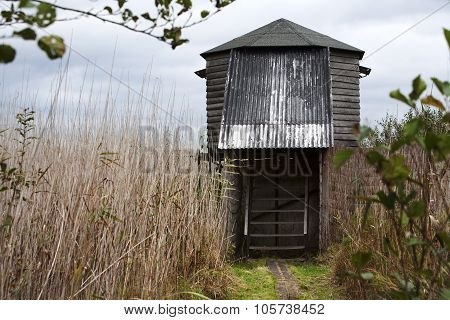 Birdhide