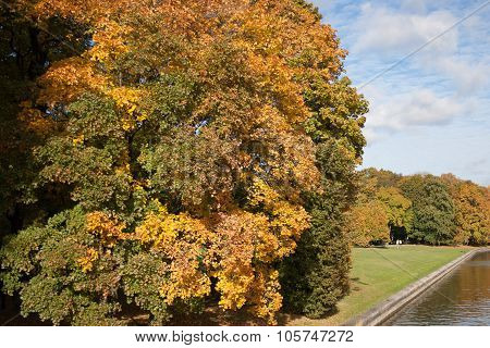 Autumn Park
