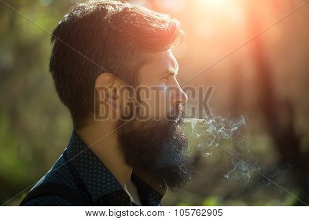 Smoking Man In Forest