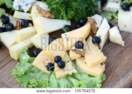 Various Types Of Gourmet Cheeses