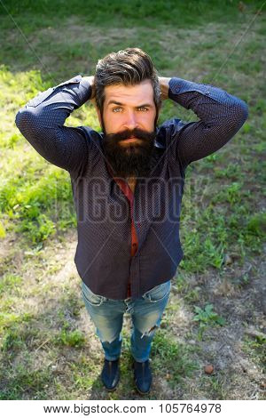 Top View Of Man With Beard