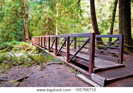 Bridge