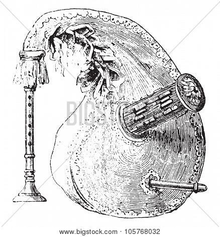 Biniou, vintage engraved illustration. Dictionary of words and things - Larive and Fleury - 1895.