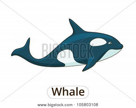 Whale orca cartoon vector illustration