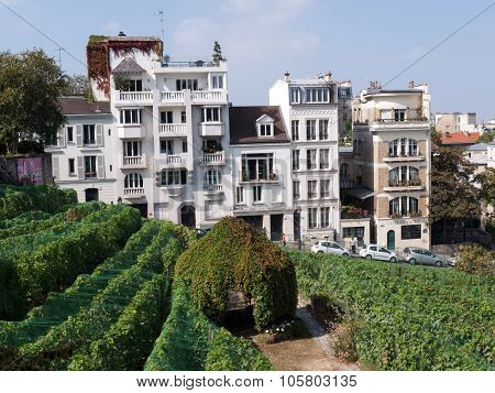 PARIS, FRANCE - SEPTEMBER 10, 2014: Paris - gardens dedicated to Auguste Renoir surround the Museum of Montmartre