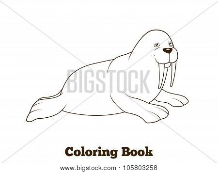 Walrus cartoon coloring book vector illustration