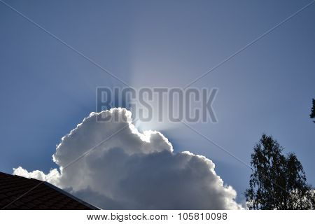 sunbeams