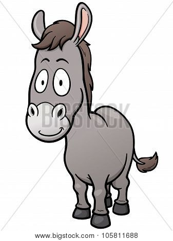 Burro