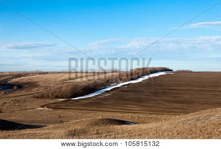 beautiful landscape early spring in the field on a sunny day