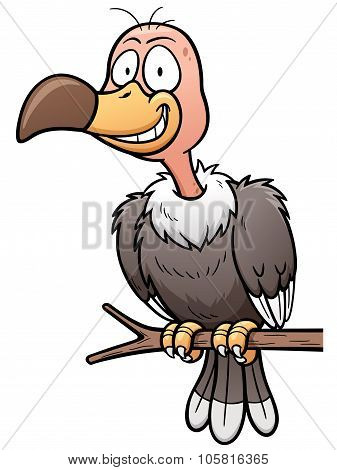 Vulture