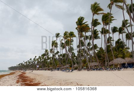 Hurricane on the beach in the day