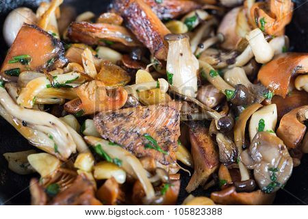 Sauteed Wild Mushrooms