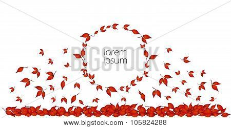 Autumn leaves in circle