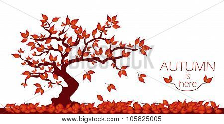 Autumn Tree With Text.