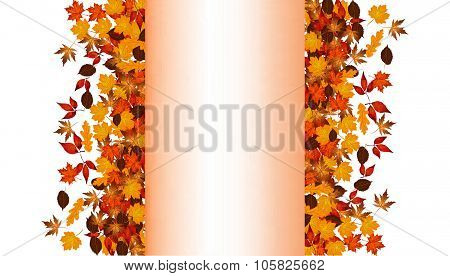 Autumn Leaves Background