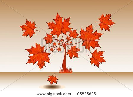 MapleTree With Big Leaves
