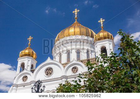 Cathedral Of Christ The Savior