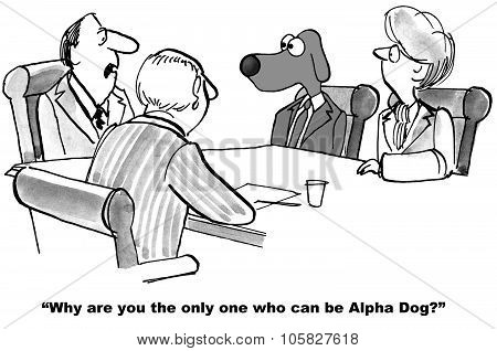 Alpha Dog