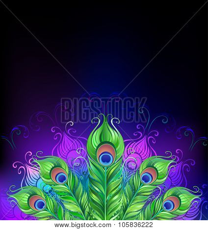 Peacock Tail
