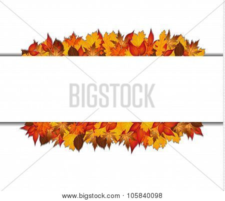 Autumn Banner With Autumn Leaves