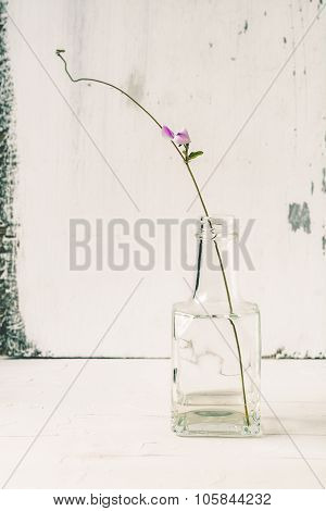 Still Life With Flower In A Bottle On Rusic Wooden Table Background