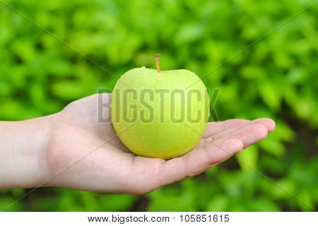Green Apple