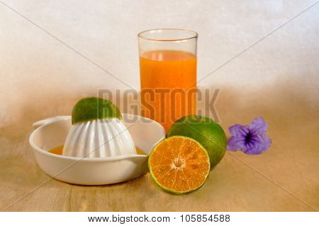 Orange Juice, Squeezed Juice Equipment.