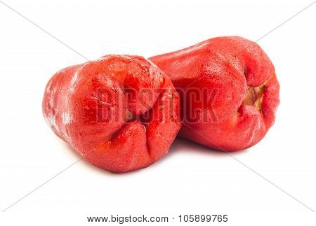 Roes apple fruit isolated on white background