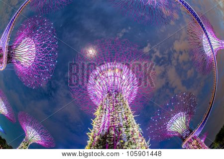 SINGAPORE - May 10: Night view of Supertree Grove at Gardens by the Bay on May 10, 2014 in Singapore