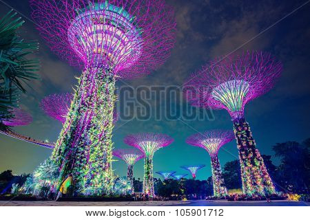 SINGAPORE - May 10: Night view of Supertree Grove at Gardens by the Bay on May 10, 2014 in Singapore
