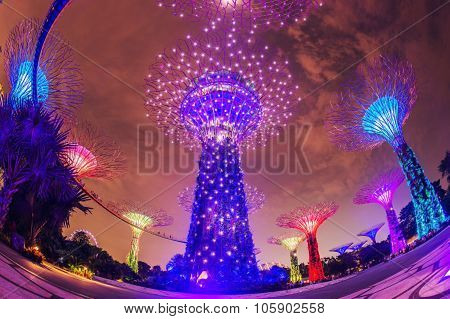 SINGAPORE - May 10: Night view of Supertree Grove at Gardens by the Bay on May 10, 2014 in Singapore