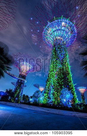 SINGAPORE - May 10: Night view of Supertree Grove at Gardens by the Bay on May 10, 2014 in Singapore