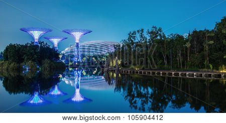 SINGAPORE - May 10: Night view of Supertree Grove at Gardens by the Bay on May 10, 2014 in Singapore