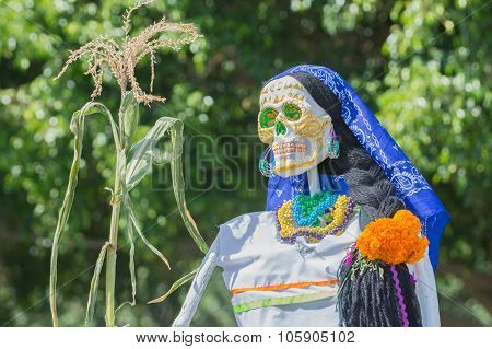 Skeleton Sculpture On Display