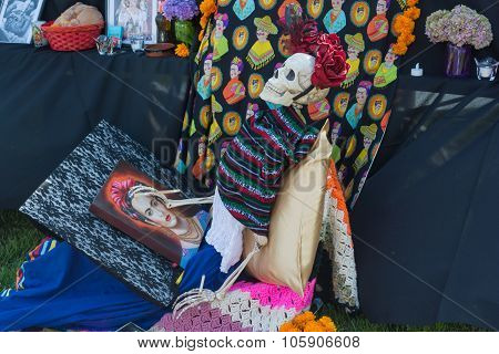 Skeleton Sculpture On Display