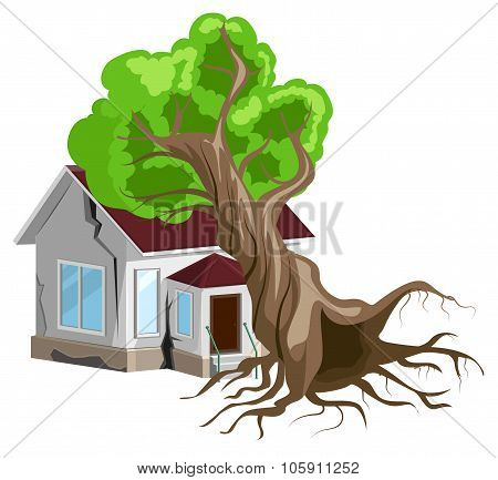 House destroyed. Tree fell on house. Cracks in walls of home. Property insurance.