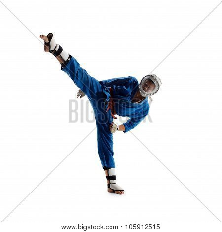 Kudo fighter is ighting Isolated