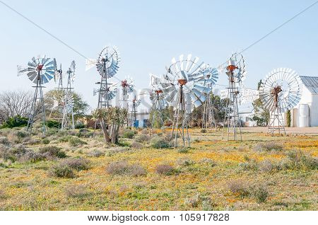 Windmill Museum In Loeriefontein
