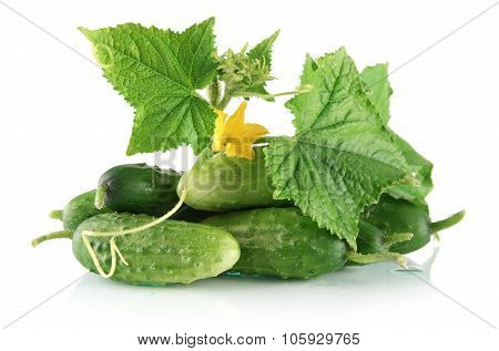 Many Fresh Raw Cucumbers With Flower Isolated On White