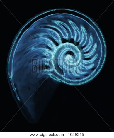 Nautilus - snurre rundt 