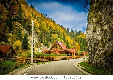 Fall Colors Around A Cottage House.