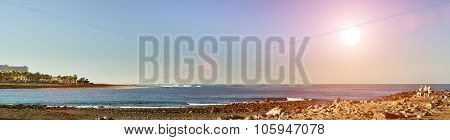 Playa De Las Americas, Tenerife, Canary Islands, Spain